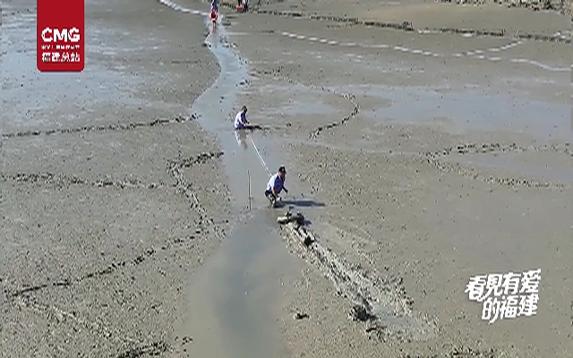 大爷赶海深陷淤泥只剩脑袋