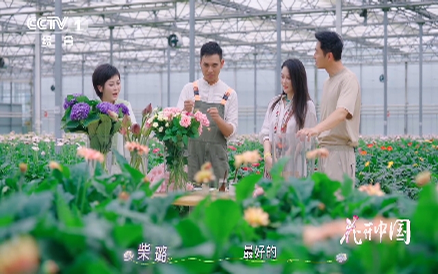 原來(lái)可以用糖水養(yǎng)鮮花