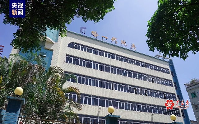 全球圈粉！中國(guó)潮玩讓老外上頭了