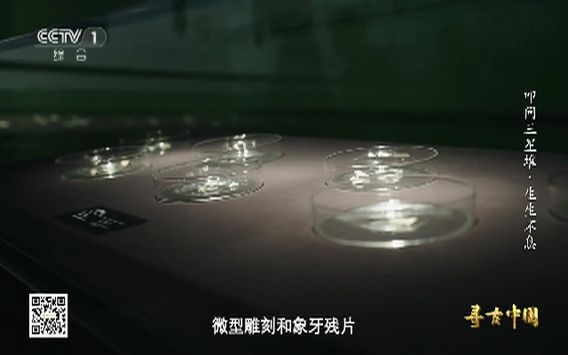 三星堆出土超800根完整象牙