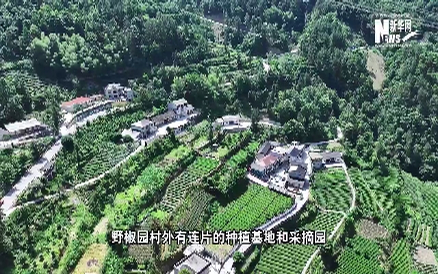 湖北宣恩：看侗族古寨如何走上发展快车道