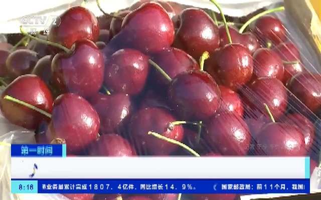 大批车厘子坐船到中国了