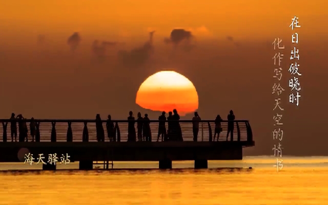 祝贺！港珠澳大桥车畅人旺新突破